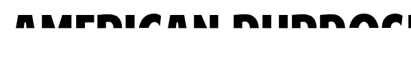 American Purpose font preview